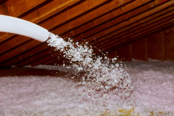 Best Cellulose Insulation  in Breckenridge, MN