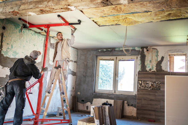 Best Local Insulation Services  in Breckenridge, MN