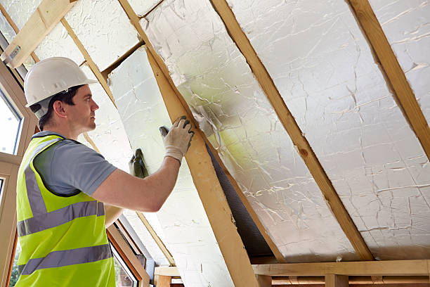 Best Spray Foam Insulation  in Breckenridge, MN